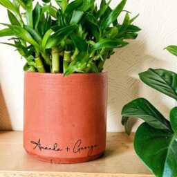 Custom Name Terracotta Planter, Personalized Text Plant Pot Home Decor - thumbnail 3