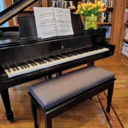 Velvet Bench Cushion With Non-Slip Bottom/ Piano Pad/ Cosy Window Seat Cover/ Custom Banquette Cushion/ 2 - thumbnail 2