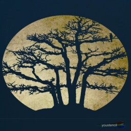 Tree Stencil For Walls, Art & Furniture. St66 - thumbnail 1