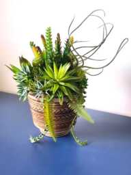 Faux Succulent Centerpiece Bohemian Retro Ceramic Pottery, Luxury Home Decor Planter - thumbnail 1