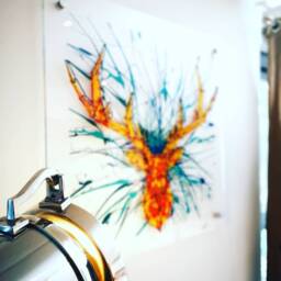stag Head Acrylic Wall Art Modern Geometric Sculpture By Ben Ashford - thumbnail 2