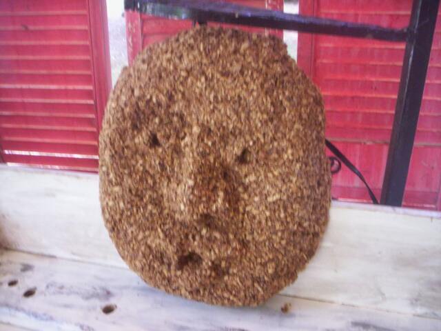 Sawdust Mask/African Mask/Unfinished Mask/Unfinished Wood Sawdust Mask/Fall Decor/Autume Decor/Fall Project/Autume Project/Craft Project - image 1