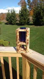 Wine Bottle Bird Feeder