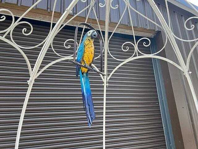 Decorative Large Hanging Parrot Statue - Blue - image 1