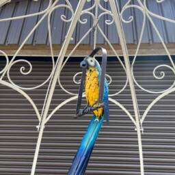 Decorative Large Hanging Parrot Statue - Blue - thumbnail 4