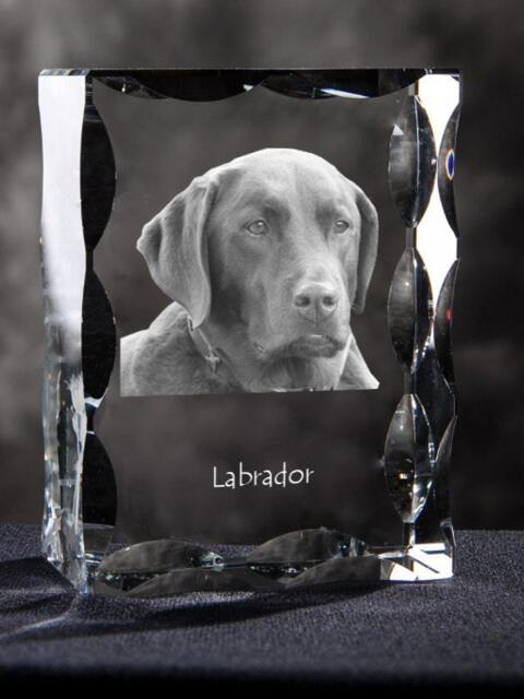 Labrador Retriever, Cubic Crystal With Dog, Souvenir, Decoration, Limited Edition, Collection - image 1