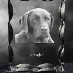 Labrador Retriever, Cubic Crystal With Dog, Souvenir, Decoration, Limited Edition, Collection - thumbnail 2