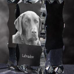 Labrador Retriever, Cubic Crystal With Dog, Souvenir, Decoration, Limited Edition, Collection - thumbnail 3