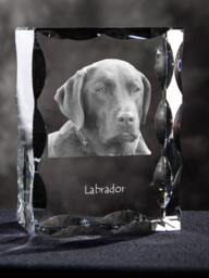 Labrador Retriever, Cubic Crystal With Dog, Souvenir, Decoration, Limited Edition, Collection - thumbnail 1