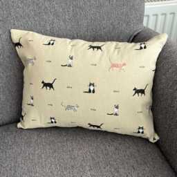 Cat Cushion With Inner Pad, Sophie Allport Purrfect Design 40cm X 30cm - thumbnail 3