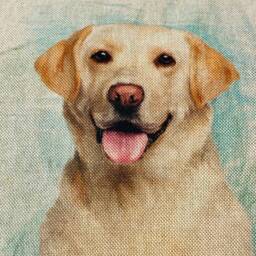Yellow Labrador Linen Cushion Cover Dog Lover Gift - thumbnail 4