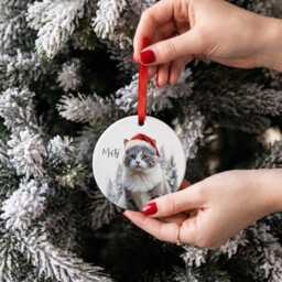 Custom Pet Santa Ornament - Christmas Personalised Bauble & Tree Decoration - thumbnail 2