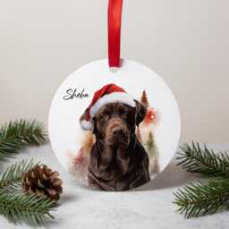 Custom Pet Santa Ornament - Christmas Personalised Bauble & Tree Decoration