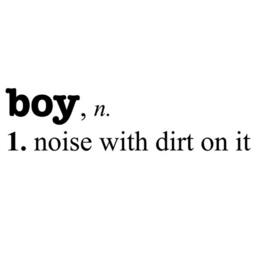 Boy - Noise With Dirt Definition, Vinyl Wall Decal, Boys Bedroom Decor, Nursery Saying, Playroom Decal - thumbnail 2