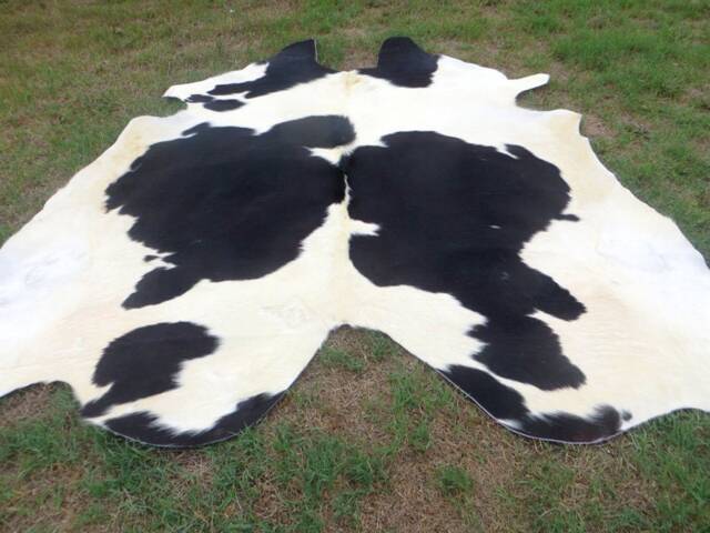 Black & White Large New Cowhide Rug Natural Hair On - 6x6 Ft Size Approx Tri-Color Soft Carpet Cow Hide B-S - image 1