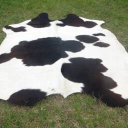 Black & White Large New Cowhide Rug Natural Hair On - 6x6 Ft Size Approx Tri-Color Soft Carpet Cow Hide B-S - thumbnail 2