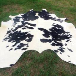 Black & White Large New Cowhide Rug Natural Hair On - 6x6 Ft Size Approx Tri-Color Soft Carpet Cow Hide B-S - thumbnail 3