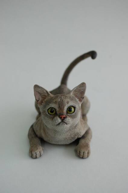 Custom Singapura Cat Figurine(Ready Personalized Pet Portrait - image 1