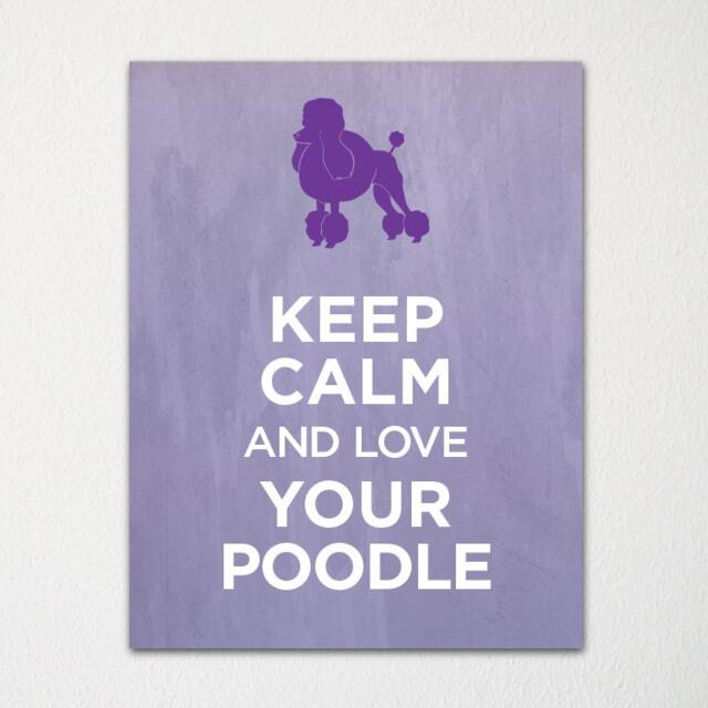 Keep Calm & Love Your Poodle - Fine Art Print Choice Of Color Purchase 3 Receive 1 Free Custom Prints Available - image 1