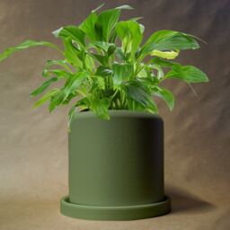 Small Plant Pot in Matte Olive Green, Pots With Drainage & Saucer, Succulent Cacti Planter, Lightweight