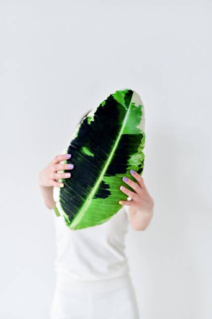 Fig Leaf Pillow, Ficus Variegated Velvet Leaf Pillow With Printed Photo, Tropical Interior Design - image 1