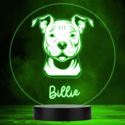Pitbull Dog Pet Silhouette Multicolour Personalised Gift Led Lamp Night Light - Bedroom