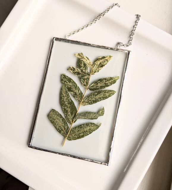 Willow Wall Art, Framed Pressed Flowers, Glass Hanging, Flower Dried Soldered Art - image 1