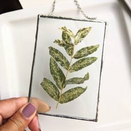 Willow Wall Art, Framed Pressed Flowers, Glass Hanging, Flower Dried Soldered Art - thumbnail 3