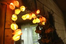 Lights Garland, String Lights, 20 Led Bulbs, Home Bathroom Baby Room Battery Fairy Garden - thumbnail 1