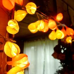Lights Garland, String Lights, 20 Led Bulbs, Home Bathroom Baby Room Battery Fairy Garden - thumbnail 2