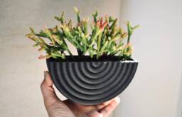 "Mid Century Modern ""Coiled Black" - thumbnail 1