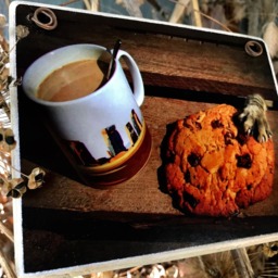 "Cookie Monster Art Print On Wood Humorous Cat Photo Gift - 4""x5" - thumbnail 2