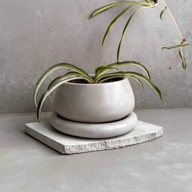 Small Planter With Drainage, Cute Plant Pot, Bubble Planter, Succulent Decorative Concrete Round Bonsai Chubby Mini Pot - image 1