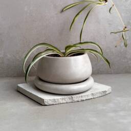 Small Planter With Drainage, Cute Plant Pot, Bubble Planter, Succulent Decorative Concrete Round Bonsai Chubby Mini Pot - thumbnail 1