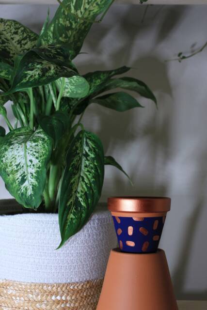 Hand Painted Terracotta Plant Pot For Houseplants - Customisable With Drainage & Saucers To Match Great Gift Idea - image 1