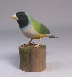 Gouldian Finch - White-Breast Hand Carved Wooden Bird - thumbnail 2