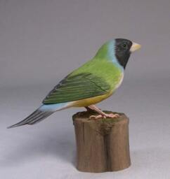 Gouldian Finch - White-Breast Hand Carved Wooden Bird - thumbnail 3