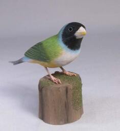 Gouldian Finch - White-Breast Hand Carved Wooden Bird - thumbnail 1