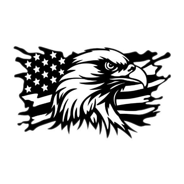 Us Flag America Hawk Eagle Decal Decor Car Van Bonnet Vinyl Side Sticker Hood Graphic Sign Motorhome Campervan Wall Art