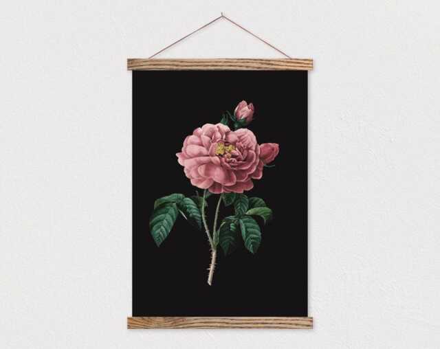 Poster Wall Hanging-Dark Vintage Botanical Rose Canvas Print With Wood Hanger-Adventurer - Flat Canvas-Gift For Her - image 1