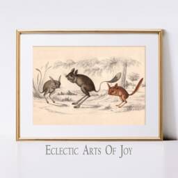 Jerboa Print, Victorian Zoological Wall Art, Desert Rodent Poster - thumbnail 3