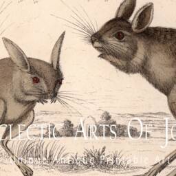 Jerboa Print, Victorian Zoological Wall Art, Desert Rodent Poster - thumbnail 2