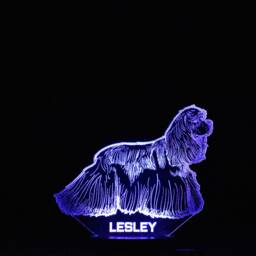 Personalised Cocker Spaniel Led Night Light Engraved Dog Lamp - thumbnail 4