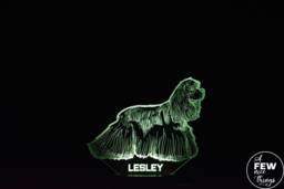 Personalised Cocker Spaniel Led Night Light Engraved Dog Lamp