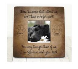 Pet Loss Memorial Sympathy Gift Dog Cat Perfect Companions Forever in Our Hearts Personalized Picture Frame - thumbnail 1