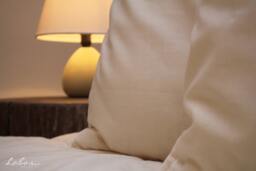 Pillow, Standard Size - 20x26, Chemicals Free Wool Filled, Handmade, Cotton Covered. - Us Duty Paid