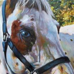 100% Hand Painted Commission Horse Oil Painting Personalized Impressionist Animal Pet Art - Paint From Digital Photos/Images - thumbnail 3