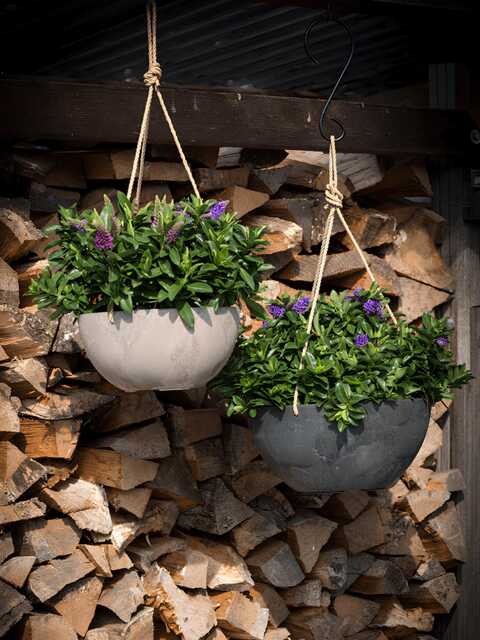Artstone Fiona Hanger Black, Indoor & Outdoor Hanging Pot, Multiple Sizes - image 1