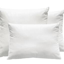 Feather Pillow Insert, Pillows, Pillow, Inserts, Throw 16x16, 16x26 Lumbar Pillow Insert - thumbnail 2