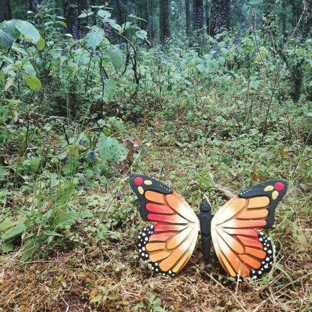 Monarch Butterfly Wall Art, Diy Kits & Eco-Friendly Creative Collection - image 1